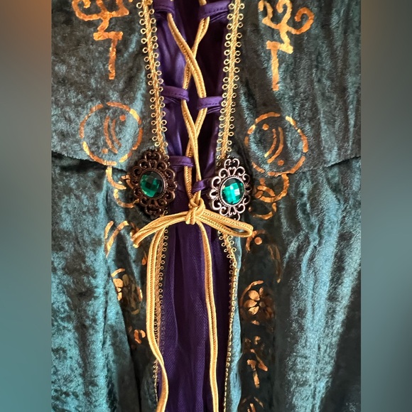 Winifred Sanderson Hocus Pocus Halloween Costume Adult Medium - Picture 5 of 16